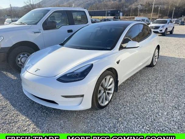 TESLA MODEL 3 2021 5YJ3E1EA7MF086372 image